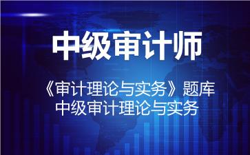 中级审计师《审计理论与实务》题库-中级-审计理论与实务 中级审计师《审计理论与实务》题库-中级-审计理论与实务