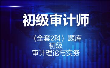 2026年初级审计师（全套2科）题库-初级-审计理论与实务