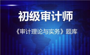 2026年初级审计师《审计理论与实务》题库