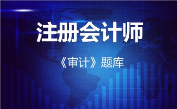 2026年注册会计师《审计》题库-审计