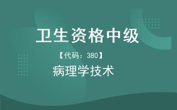 2026年卫生资格中级《【代码：380】病理学技术》题库