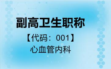 2026年副高卫生职称【代码：001】心血管内科考试内容和题库