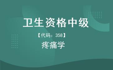 2026年卫生资格中级《【代码：358】疼痛学》题库